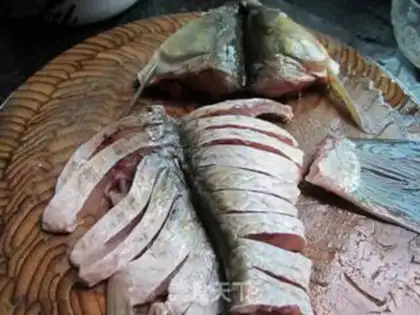 Make Fish step 1