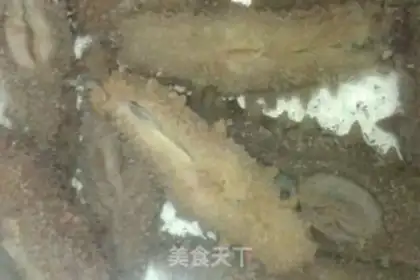 Make Burning sea cucumbers step 0