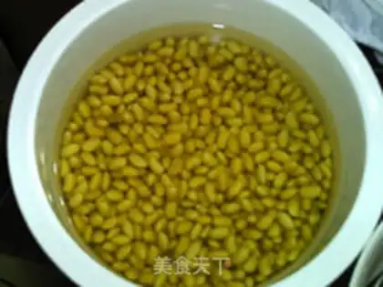 Make Halogenated tofu step 0
