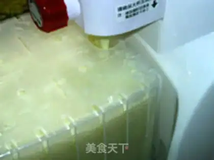 Make Halogenated tofu step 9