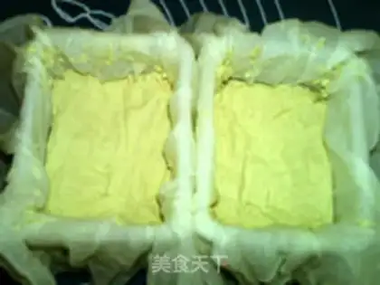 Make Halogenated tofu step 17