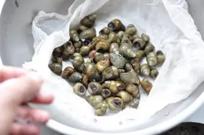 Make Spicy snail step 1