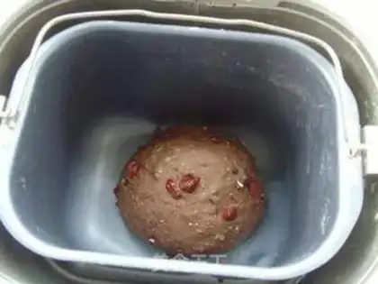 Make Coco cranberry rye bread step 4