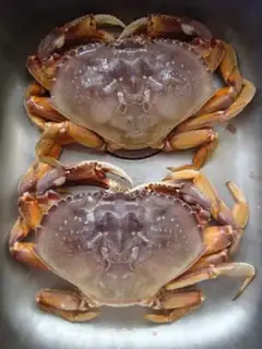 Make Crab butter and fruit salad step 0