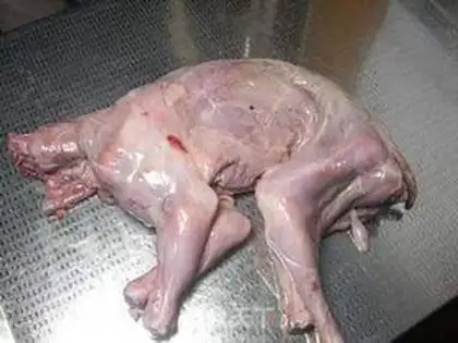 Make Spicy rabbit step 0