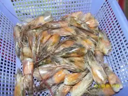 Make Precious shrimp head step 0