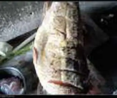 Make Carp step 2