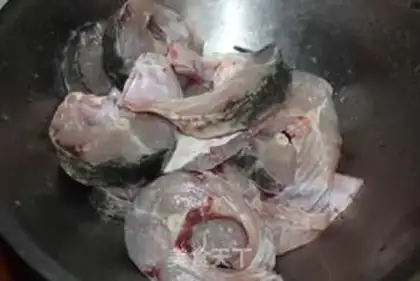 Make Squid step 1