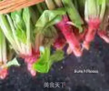 Make Garlic spinach step 1