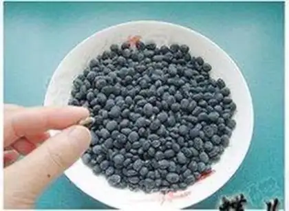 Make February 2nd, black beans step 0
