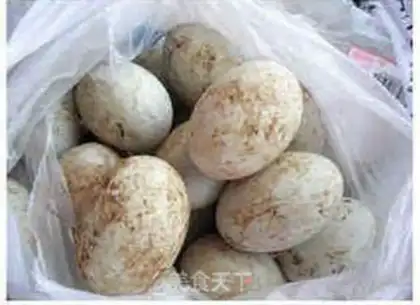 Make Homemade pine eggs step 0
