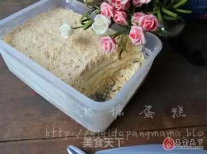 Make Cake step 10