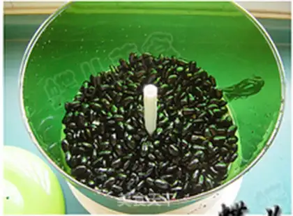 Make Black Bean Bud step 4