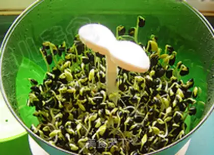 Make Black Bean Bud step 10