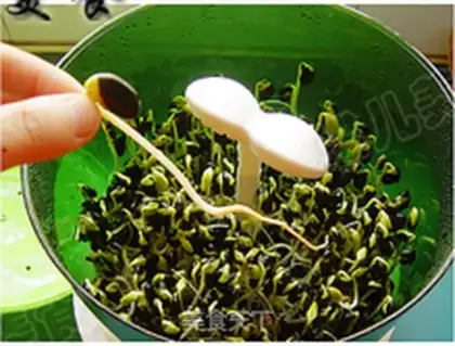 Make Black Bean Bud step 11