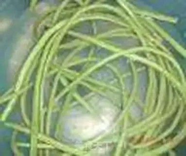 Make Sour Beans step 0