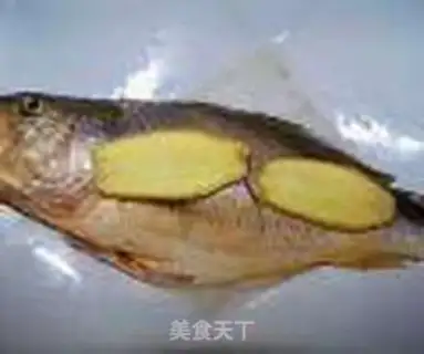 Make Big yellow fish step 0