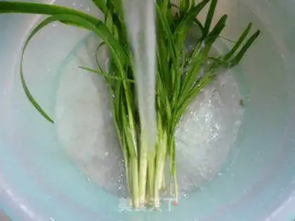 Make Creamed potatoes step 5