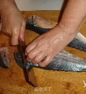 Make Squid step 0