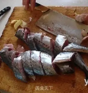 Make Squid step 1