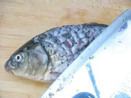 Make Carpfish step 1