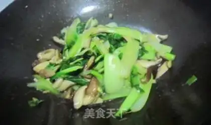 Make Mushroom oil step 6