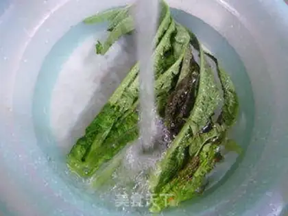 Make Tonic fan step 2
