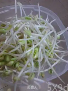 Make Bean sprouts, bean gravy step 0