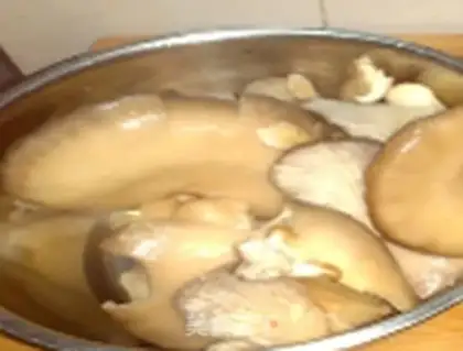 Make Pelican mushrooms step 0