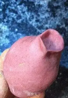 Make Flamingos step 5