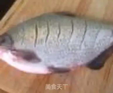 Make Vacuate the chowfish step 1