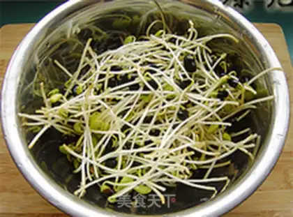 Make Tofu sprouts step 2
