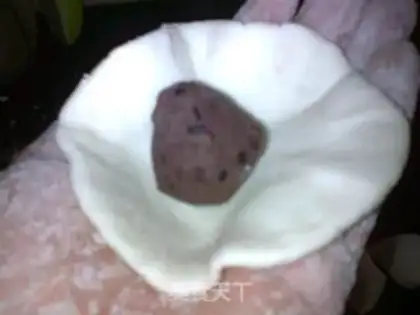 Make Porkball step 4