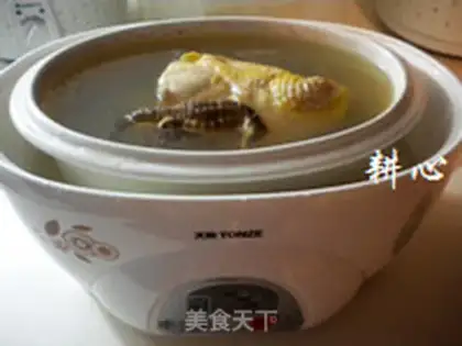 Make Abalone chicken soup step 7