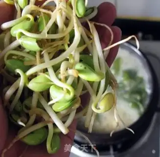 Make The sprout soup step 7