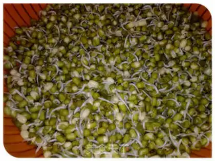 Make Green bean sprouts step 4