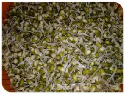 Make Green bean sprouts step 6