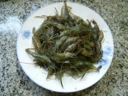Make Shrimp step 0