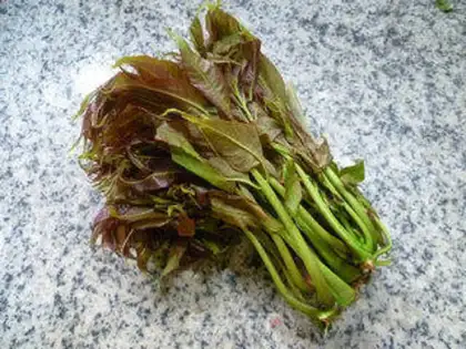 Make Protein fragrance step 0