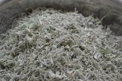 Make Steam artemisinin step 4