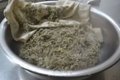 Make Steam artemisinin step 7
