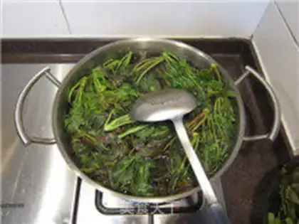 Make The pickle sprouts step 3