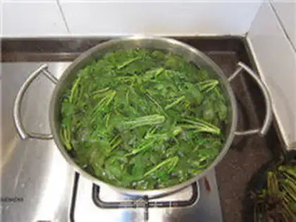 Make The pickle sprouts step 4