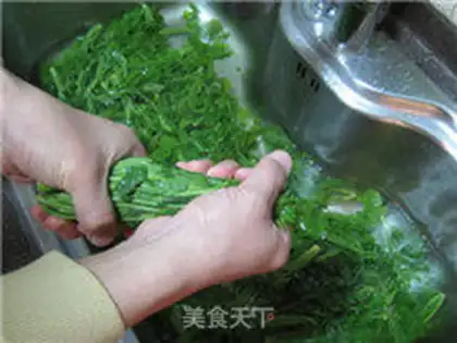 Make The pickle sprouts step 6
