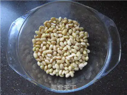 Make Bean sprouts step 2