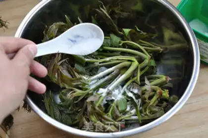 Make Taste the bud step 1