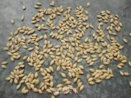 Make Pumpkin step 3