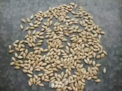 Make Pumpkin step 4