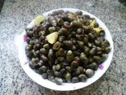 Make Scrambled snails step 9