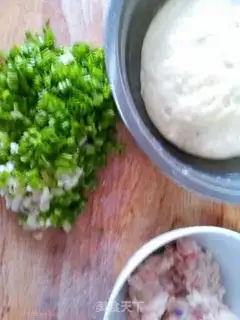 Make Fried dumplings step 0